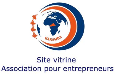 Site vitrine Association d’entrepreneurs Centrafricains